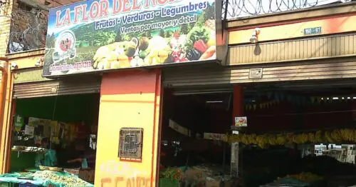LA FLOR DEL NORTE BOGOTÁ LA FLOR DEL NORTE BOGOTÁ